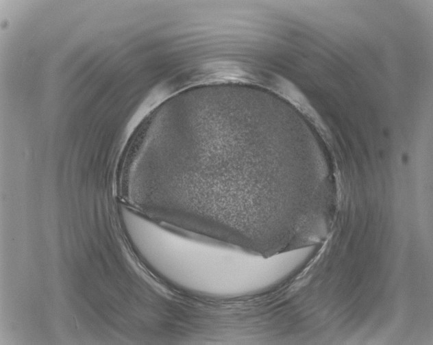 X0000078861234200611271404