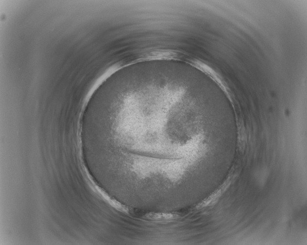 X0000078861235200611271404