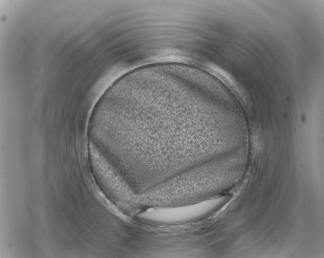 X0000078861236200611271404