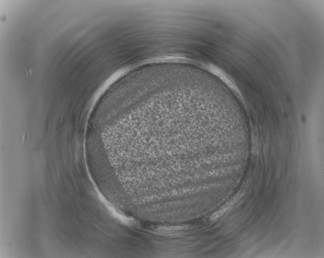 X0000078861237200611271404