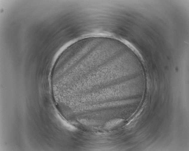 X0000078861238200611271404