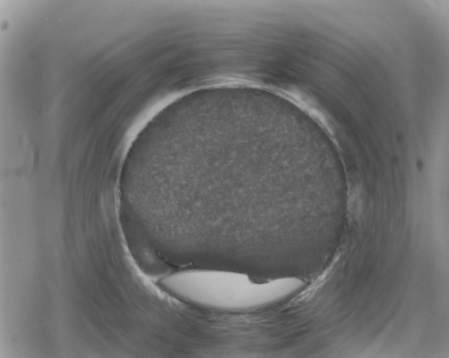 X0000078861239200611271404