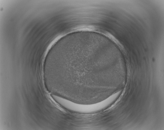 X0000078861240200611271404