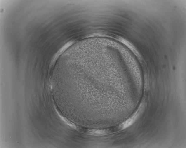 X0000078861241200611271404