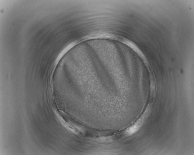 X0000078861242200611271404