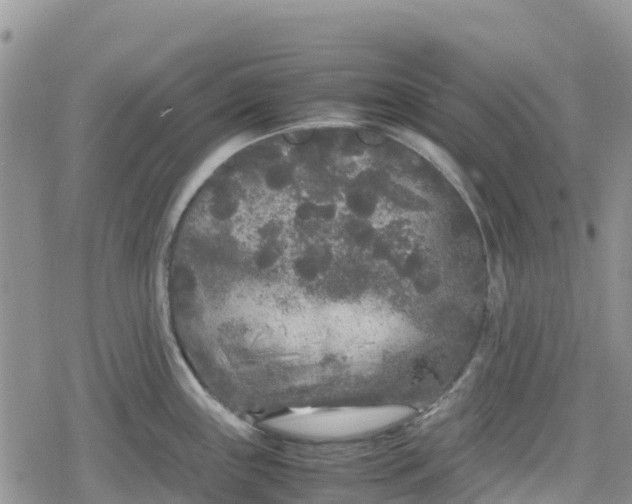 X0000078861243200611271404