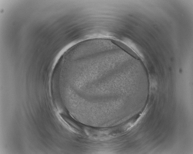 X0000078861246200611271404