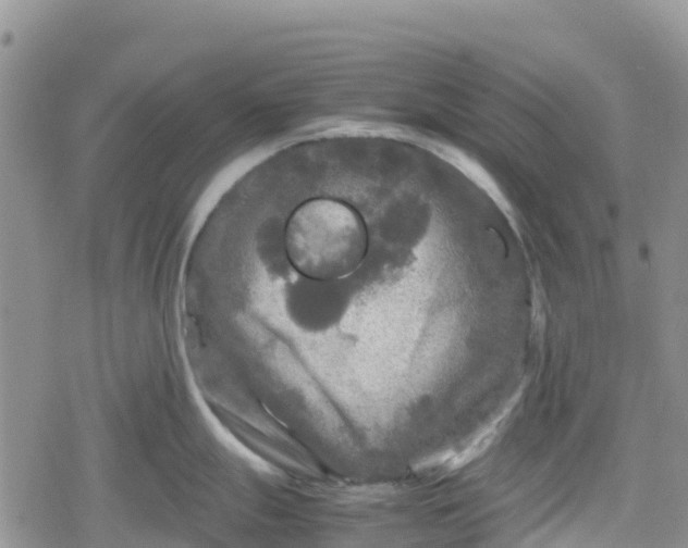 X0000078861247200611271404