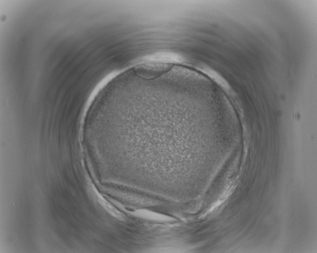 X0000078861248200611271404