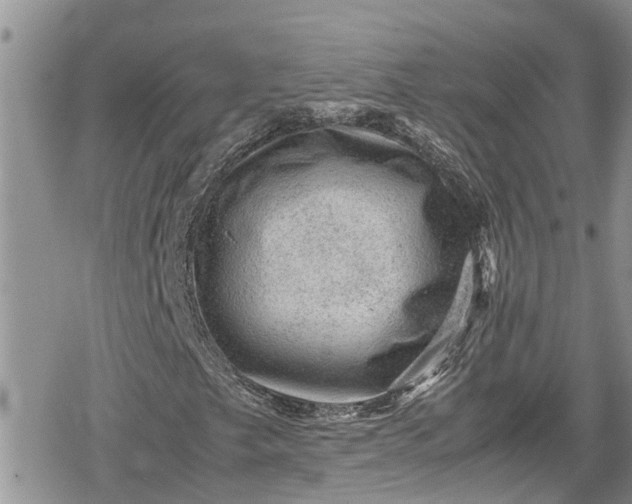 X0000078861249200611271403