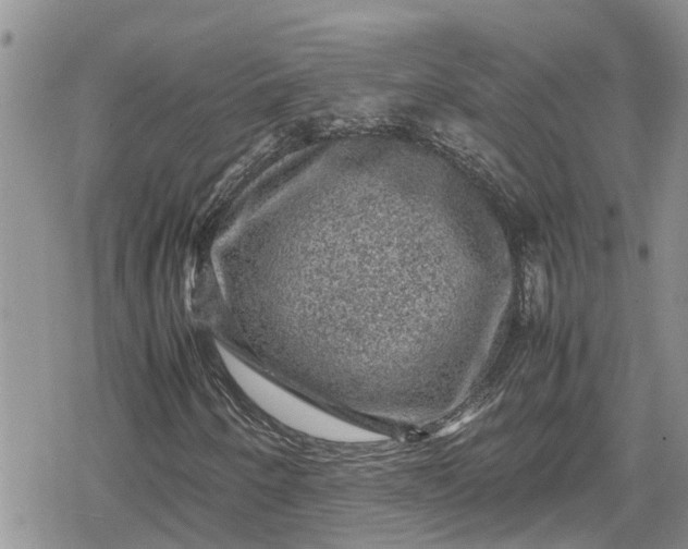 X0000078861250200611271403