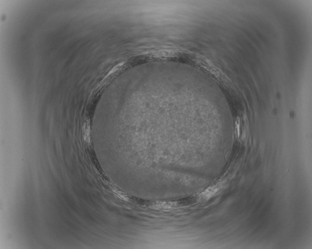 X0000078861251200611271403