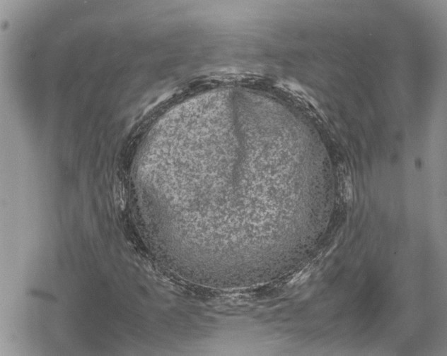 X0000078861253200611271403