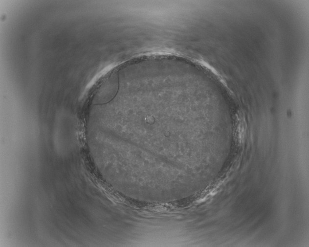 X0000078861255200611271403