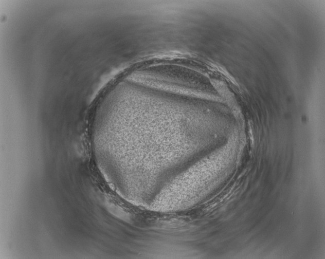 X0000078861256200611271403