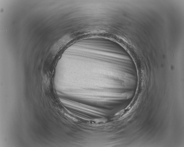 X0000078861257200611271403