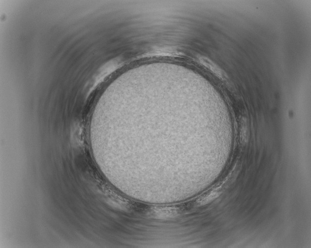 X0000078861258200611271403