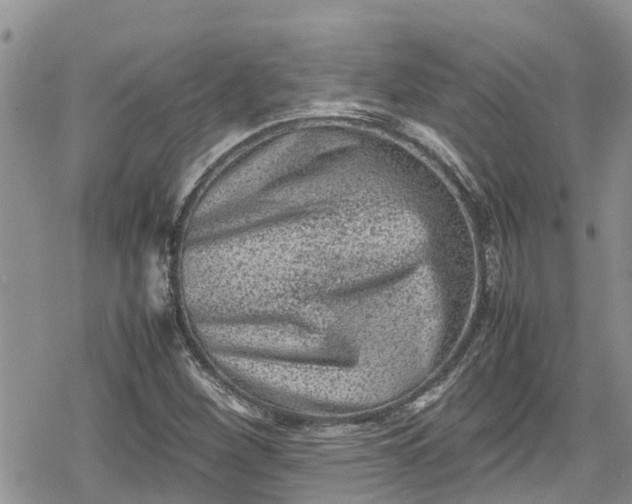 X0000078861260200611271403