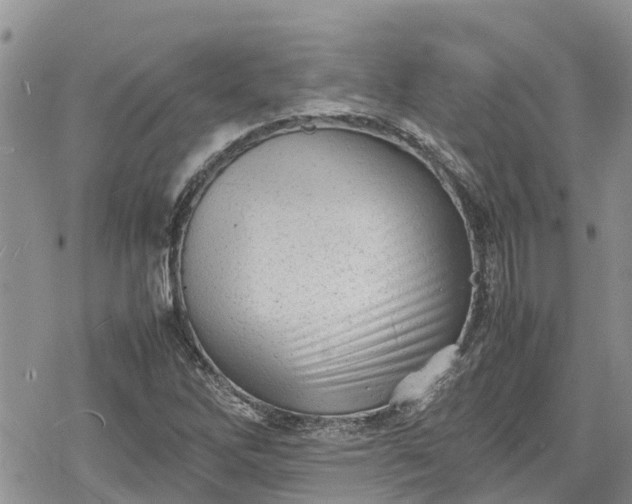 X0000078861262200611271403