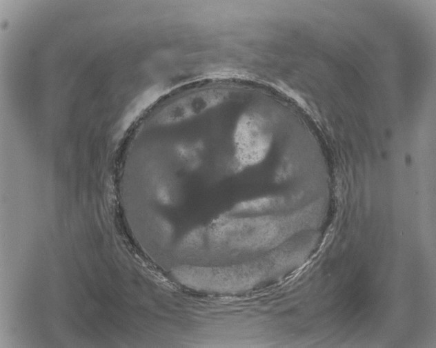 X0000078861263200611271403