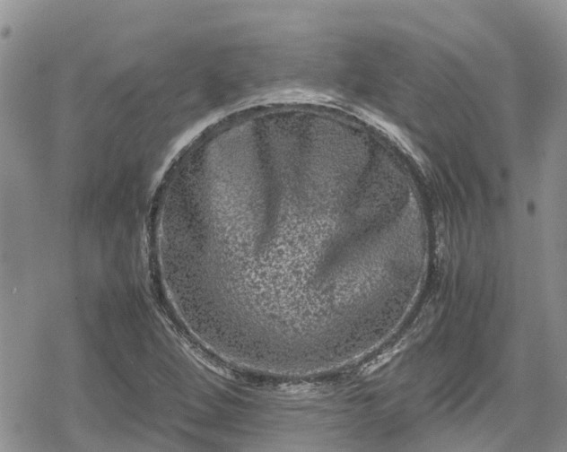 X0000078861264200611271403