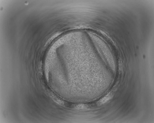 X0000078861265200611271403