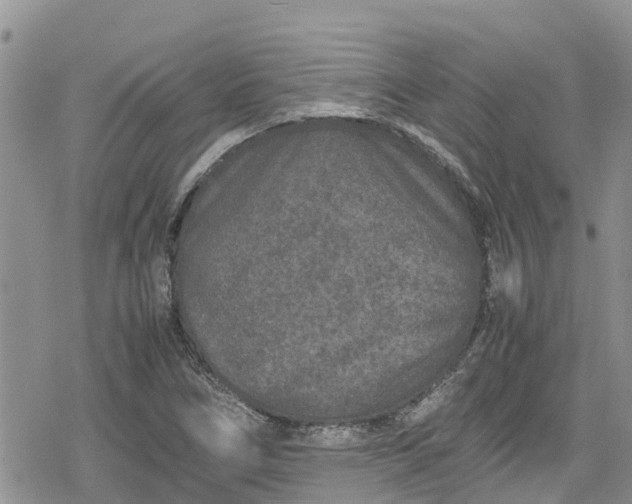 X0000078861266200611271403