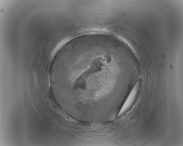 X0000078861267200611271403