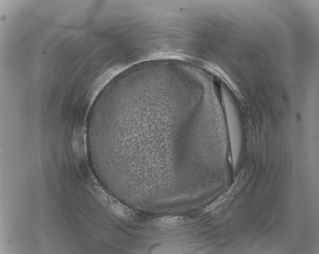 X0000078861268200611271403