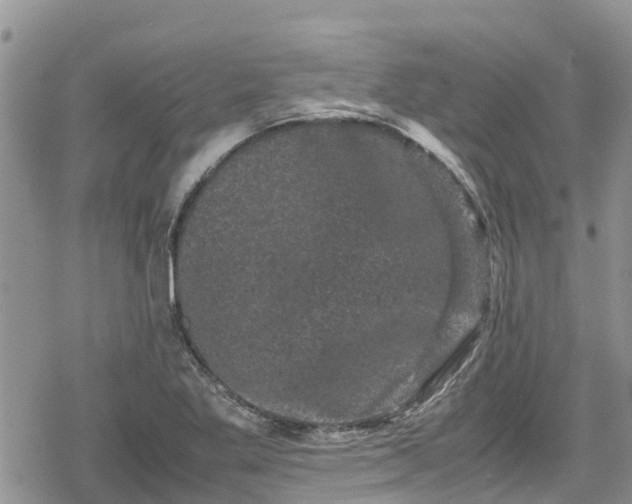 X0000078861269200611271403