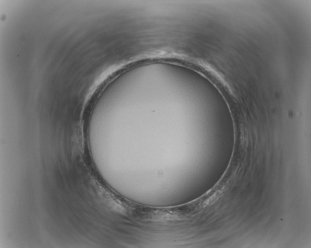 X0000078861270200611271403