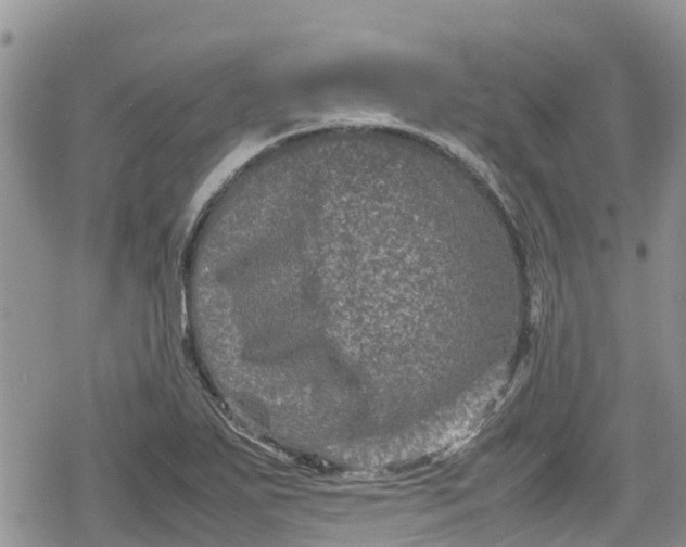 X0000078861271200611271403