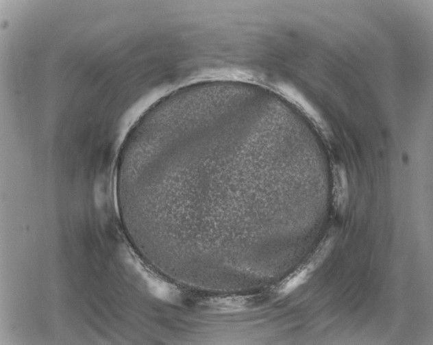 X0000078861272200611271403