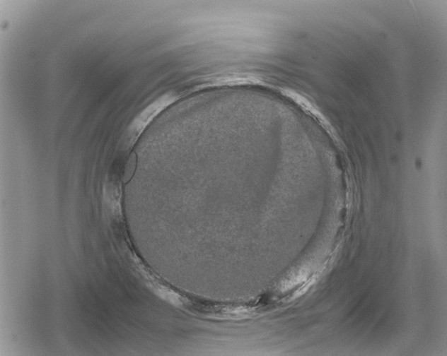 X0000078861273200611271403