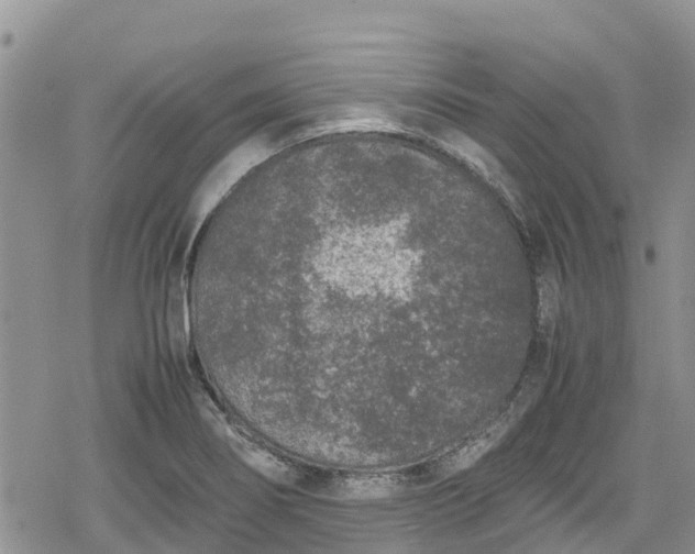 X0000078861274200611271403