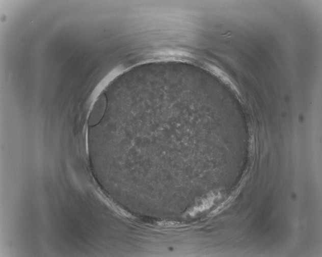 X0000078861275200611271403