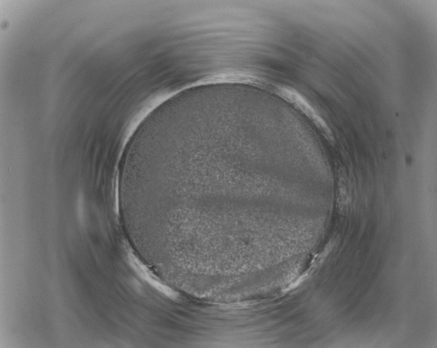 X0000078861276200611271403