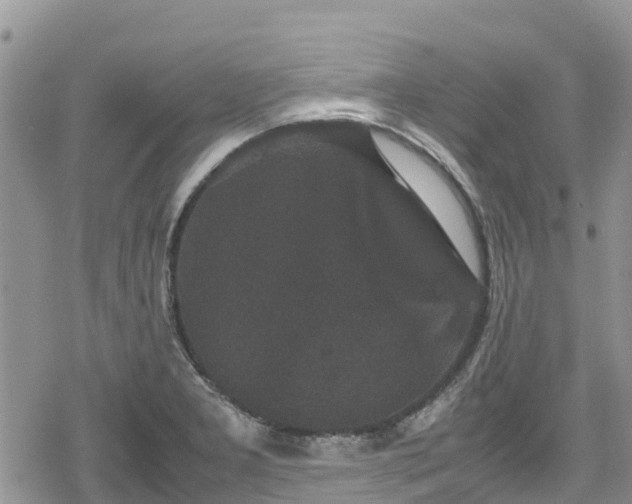 X0000078861277200611271403