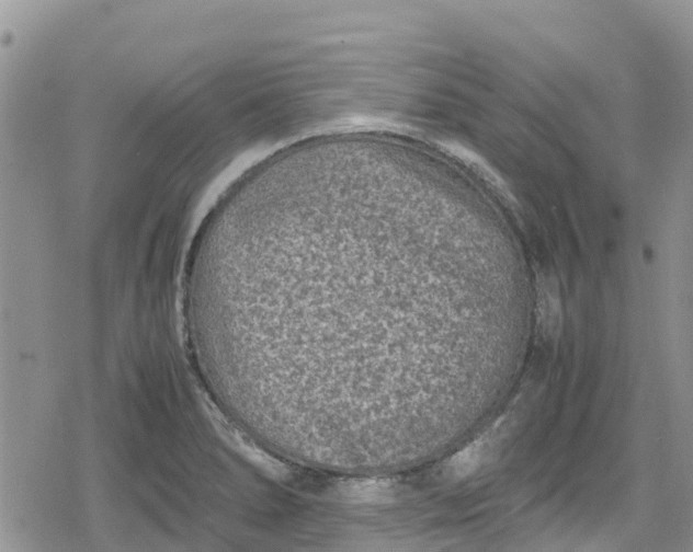 X0000078861278200611271403