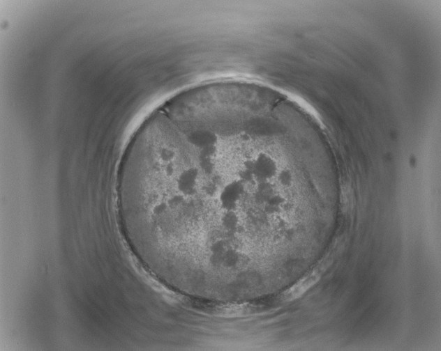 X0000078861279200611271402