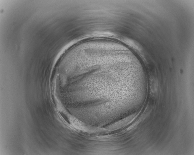 X0000078861280200611271402