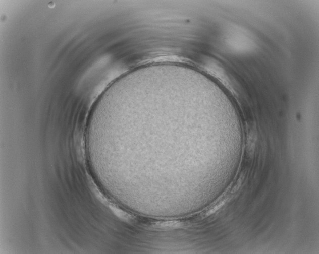 X0000078861282200611271402