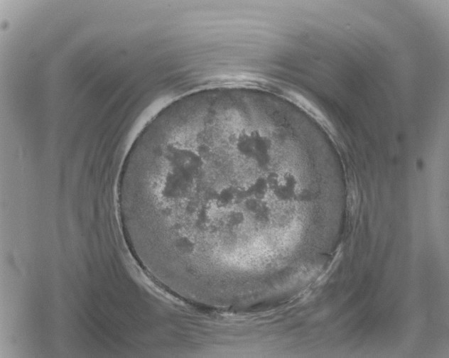 X0000078861283200611271402