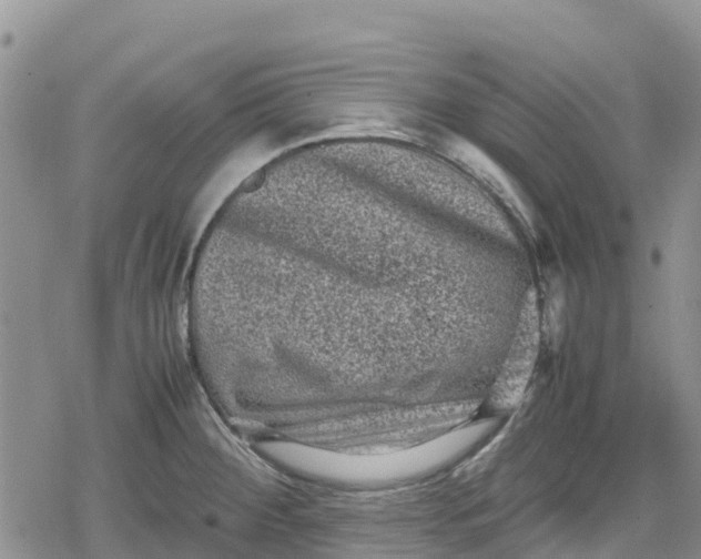 X0000078861284200611271402