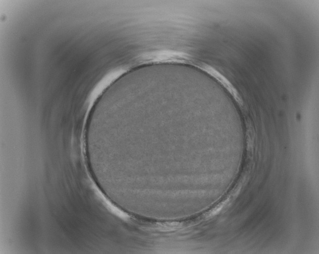 X0000078861285200611271402