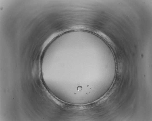 X0000078861286200611271402