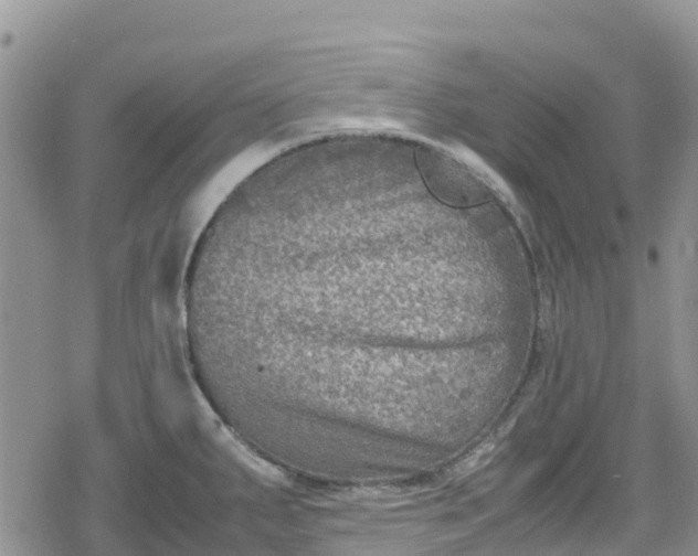 X0000078861287200611271402