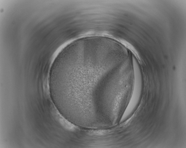 X0000078861288200611271402