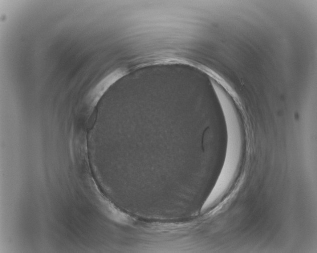 X0000078861289200611271402