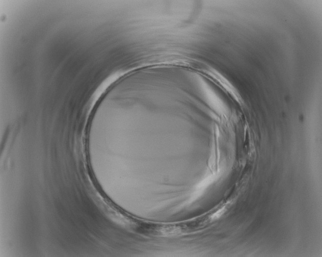 X0000078861291200611271402